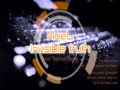 invisible truth feat NoeL(Acid Techno Remix)
